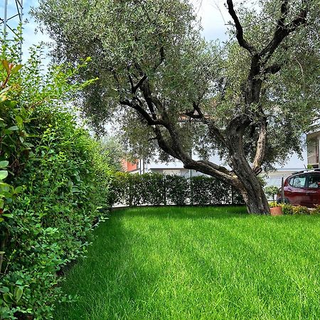 Casa Ciliegi 3 Bed & Breakfast Marostica Eksteriør bilde